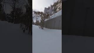 氷室京介 ダイヤモンドダスト japan snow hokkaido [upl. by Tali535]