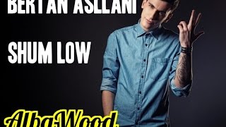 Bertan Asllani ft Big D Shum Low AlbaWood [upl. by Lainahtan]