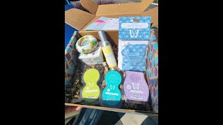 SCENTSY WHIFF BOX JUNE 2024 UNBOXING  2024 [upl. by Esiuol]