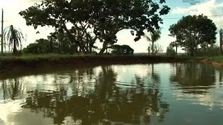 Integração de barraginhas e lago garante água em propriedades rurais  Dia de Campo na TV [upl. by Nnazus]