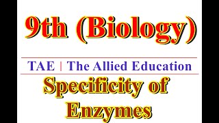 Biology 9th Class Specificity of Enzymes By  The Allied Education [upl. by Walliw]