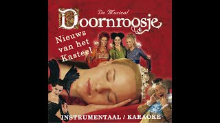 Nieuws Van Het Kasteel  InstrumentaalKaraoke uit Doornroosje de Musical met akkoorden en songtekst [upl. by Sliwa746]