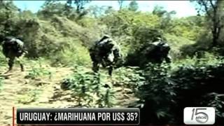 El costo de la marihuana en Uruguay [upl. by Marquardt288]