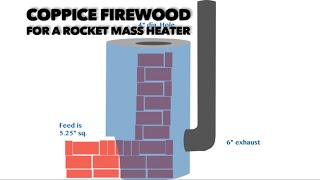 Coppice Firewood for a Rocket Mass Heater [upl. by Morgen]