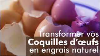 Engrais naturelRecyclage des coquilles doeufsep017Le potager de poche [upl. by Schreibman]