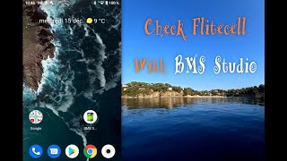 Fliteboard  Check Flitecell with BMS Studio [upl. by Oika]