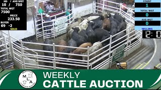 282024 Maryville Livestock Auction  Cattle Auction [upl. by Navad]