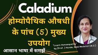 Caladium  Dr Handes Explanation of Medicine  Five Principal Symptoms  BHMS [upl. by Tobiah824]