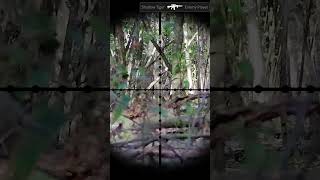 Airsoft Gameplay  Hits 44 airsoft gameplay fun sports combat [upl. by Ameerahs76]