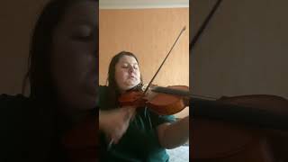 Fairytale Alexander rybak violin cover [upl. by Prentiss]