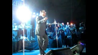 La conciencia  Gilberto santa rosa  Las Damas y el Caballero [upl. by Assenaj]