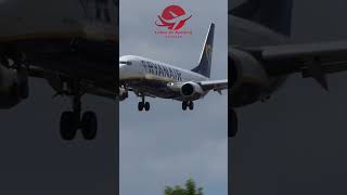 Ryanair Boeing 737800 CloseUp Landing  Bumpy Touchdown at Airport shorts [upl. by Nosa]