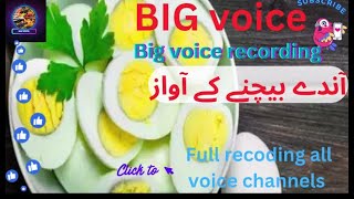 Garam Ande Uble Ande Bechne Ki Awaz Big voice 26 [upl. by Horst]