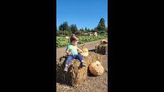 Peterson Sisters Pumpkin Patch 🎃 │ Fall in Chico California [upl. by Naus]