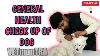 General health check up of dog [upl. by Nykal]