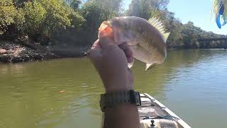 G Dad Outdoors  Fishing the Chattahoochee in Franklin [upl. by Tenenbaum]