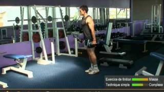 Exercice des fentes avant avec haltères pour muscler les fessiers par Allmusculation [upl. by Emlyn]