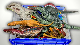 100 Jurrasic World Dino Figures  Indominus Rex T Rex Spinosaurus and More [upl. by Ahtelrac]