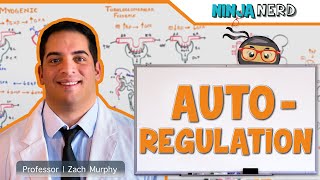 Renal  Autoregulation Updated [upl. by Nasas761]