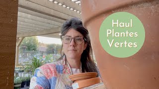 1er haul Plantes vertes de lannée [upl. by Cindie25]