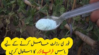 How to use NPK 20 20 20 liquid fertilizer [upl. by England594]