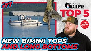 Target Walleyes Top 5 of the Week 🔥 Ep 77 [upl. by Brown]