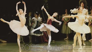 ROSE ADAGIO comparaison part 1 Alina Somova Ulyana Lopatkina Oksana Skorik etc [upl. by Nicol]