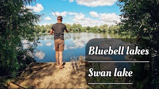 BLUEBELL LAKES  SWAN LAKE  THE HARDEST DAY TICKET WATER IN THE UK [upl. by Annailuj]