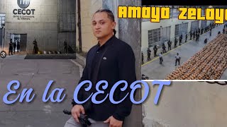 Amaya zelaya en la cecot [upl. by Adnawal891]