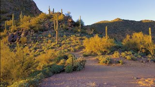 POV Hiking Video  Hike through Sonoran Desert [upl. by Amsirak867]