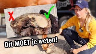 De belangrijkste FEITEN over PAARDEN HOEVEN ‼️ [upl. by Areek]