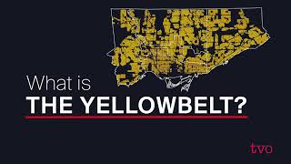 What is the Yellowbelt [upl. by Maryly]