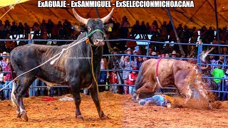 Estrenando nuevos refuerzos RANCHO LA CIÉNEGA EN SAN ANTONIO VILLALONGIN MICHOACÁN 2021  JARIPEO [upl. by Loresz745]