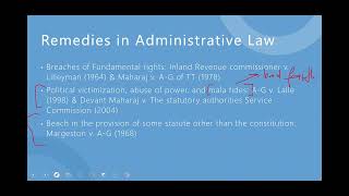 Judicial Review Ultra Vires and Locus Standi  Law Unit 1 [upl. by Eyde528]