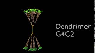 G4C2 Dendrimer animation [upl. by Airednaxela]