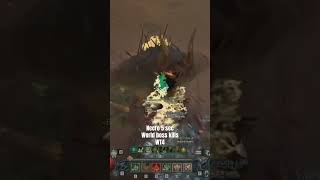 Necro 5 second World Boss Kills World Tier 4  Diablo 4 [upl. by Corley226]