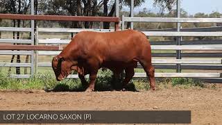 Lot 27 Locarno Saxon [upl. by Cone]