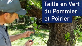 La taille en Vert du Pommier et du Poirier [upl. by Nolad377]