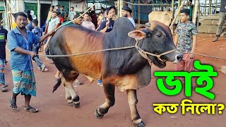 Bhai Koto Nilo Gabtoli Gorur Haat 2022  Part 36  Qurbani Cow Price in Bangladesh  Haat Update [upl. by Nevada901]