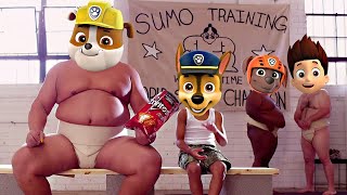 PAW Patrol I WANT SUMO Doritos Commercial Parody [upl. by Lednyc]