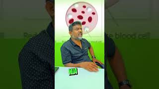 Genital problems is caused by this  Spinal Cure [upl. by Shabbir]