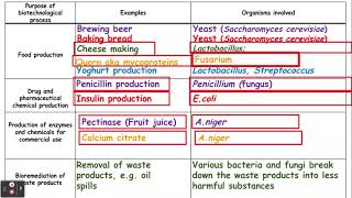 621 Cloning and biotechnology e and f Using microorganisms in biotechnology [upl. by Nerat64]