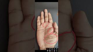 financially money problem sign n palm palmistry youtube walebabaviralvideo fact palmistBhardwaj [upl. by Enttirb474]