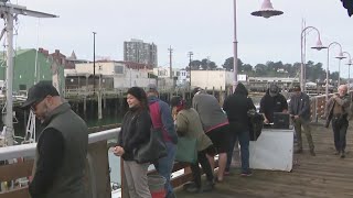 Crab lovers line up for 1st fresh Dungeness of the season at the San Francisco waterfront [upl. by Hatfield]