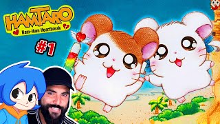 El Juego de Hamtaro que es PERFECTO en Hamtaro Rompecorazones [upl. by Fevre]