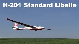 Glasflügel H201 Standard Libelle scale RC glider 2018 [upl. by Atolrac979]