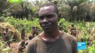 Pygmies endangered people [upl. by Trudnak]