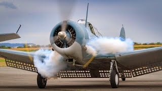 Old RADIAL ENGINES Cold Starting Up and Loud Sound 16 [upl. by Rasmussen]