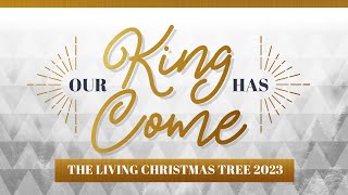 2023 Living Christmas Tree [upl. by Hartnett253]