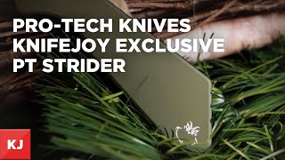 ProTech Knives KnifeJoy Exclusive PT Strider Auto [upl. by Anelhtac]